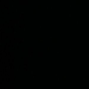 Meet your Posher, Shirley